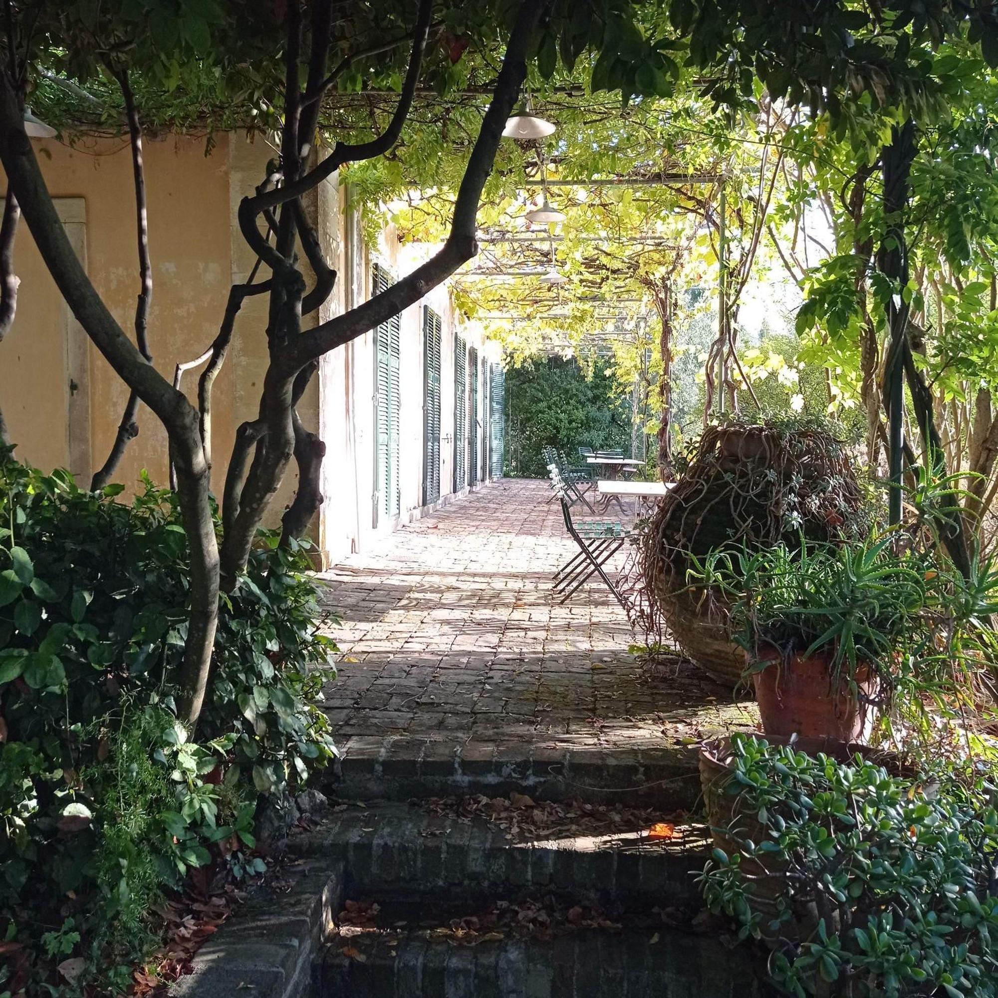 Villa Kefalomandouko Alepou Dış mekan fotoğraf